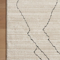 Darby Sand/ Charcoal Area Rug