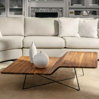 Fluid Coffee Table