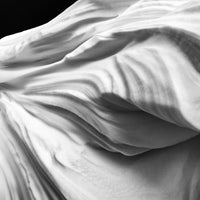 Nature's Sculpture - Print Art (Limited Edition)