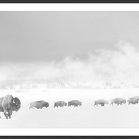 Artist Paper art piece Resilience by Thomas C Deakins.