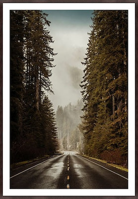 Path Least Taken - Print Art