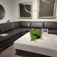 Living Sectional