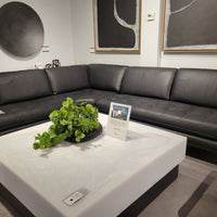 Living Sectional