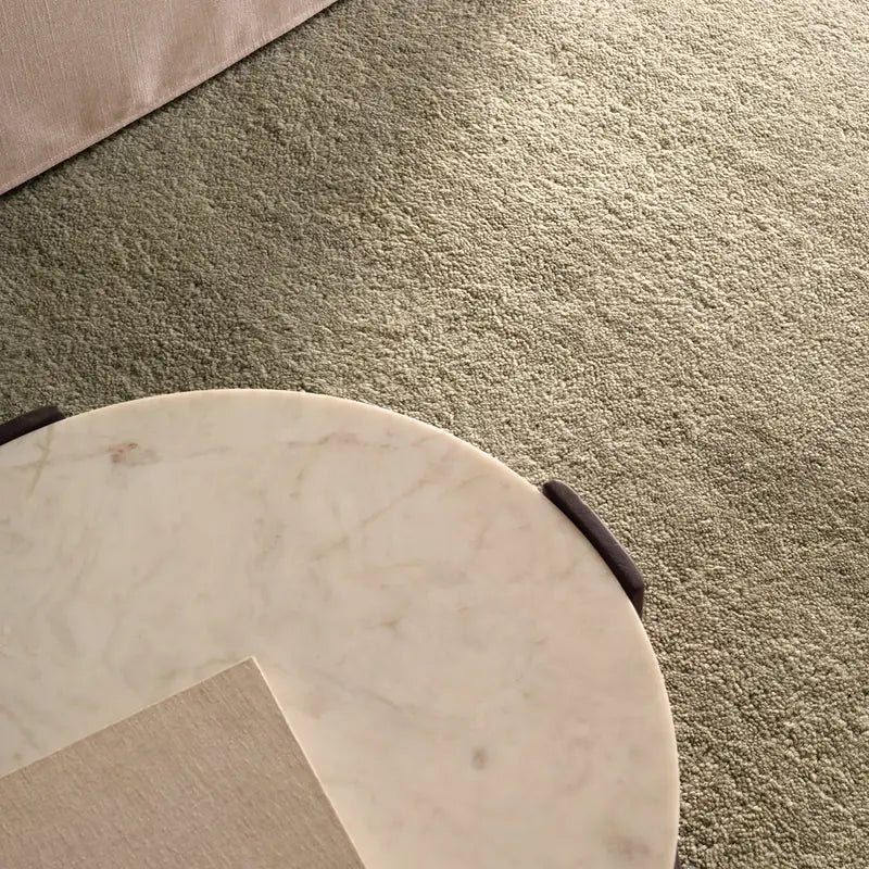 Bekarys Area Rug Collection
