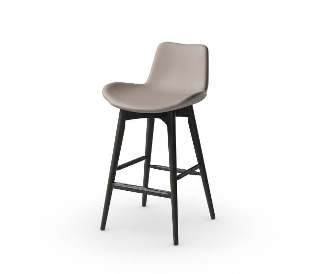 Dalia Counter Stool