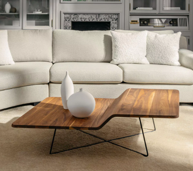 Fluid Coffee Table