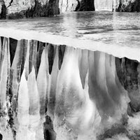 Collaboration - Print Art (Limited Edition)