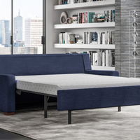 Lyons Comfort Sleeper - Queen