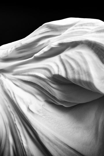 Nature's Sculpture - Print Art