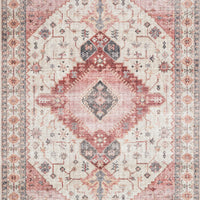 Sky Ivory/ Berry Area Rug