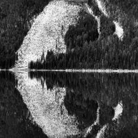 Solitary - Print Art (Limited Edition)