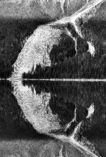 Solitary - Print Art