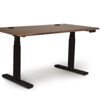 Invigo Sit Stand Desk