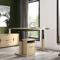 Invigo Sit Stand Desk