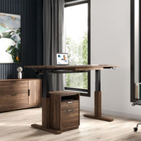 Invigo Sit Stand Desk