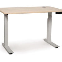 Invigo Sit Stand Desk