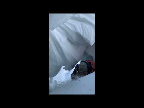 Nature's Sculpture - Print Art (Limited Edition)