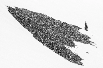 Rock Solo - Print Art