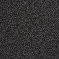 Leather finis of Sofia dining chair.